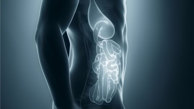 A nova câmera que consegue enxergar de fora o interior do corpo humano